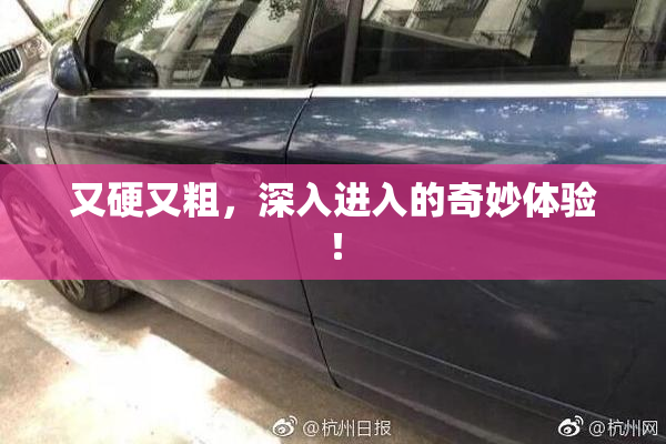 又硬又粗，深入进入的奇妙体验！
