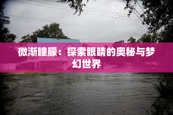 微渐瞳朦：探索眼睛的奥秘与梦幻世界