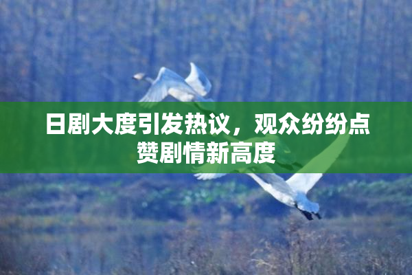 日剧大度引发热议，观众纷纷点赞剧情新高度