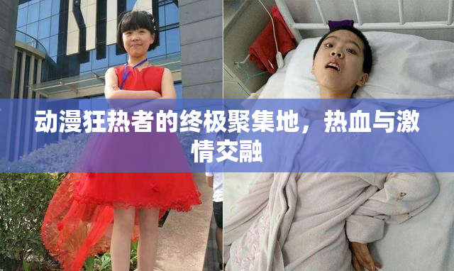 动漫狂热者的终极聚集地，热血与激情交融