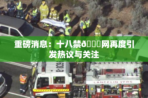重磅消息：十八禁🔞网再度引发热议与关注