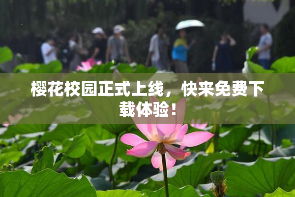樱花校园正式上线，快来免费下载体验！