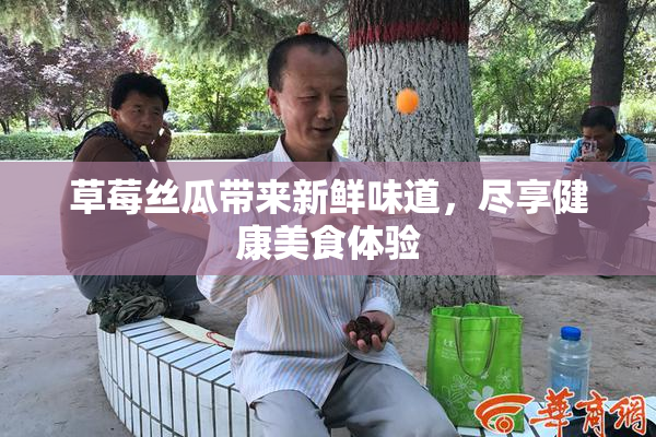 草莓丝瓜带来新鲜味道，尽享健康美食体验
