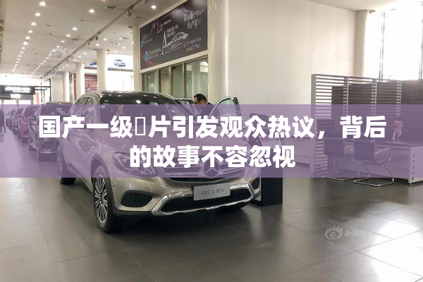 国产一级婬片引发观众热议，背后的故事不容忽视