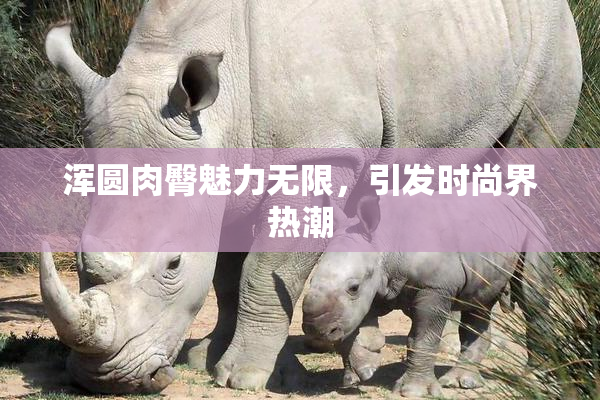 浑圆肉臀魅力无限，引发时尚界热潮