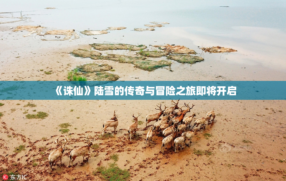 《诛仙》陆雪的传奇与冒险之旅即将开启