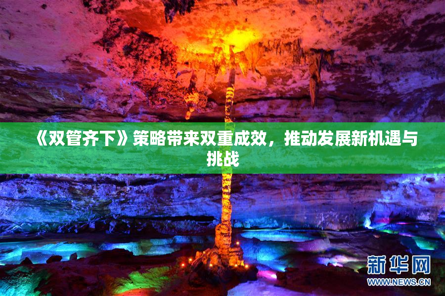 《双管齐下》策略带来双重成效，推动发展新机遇与挑战
