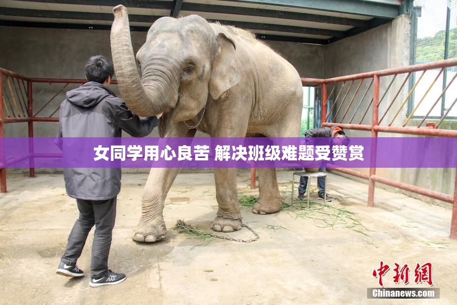 女同学用心良苦 解决班级难题受赞赏