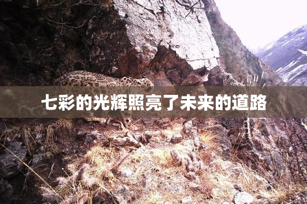七彩的光辉照亮了未来的道路