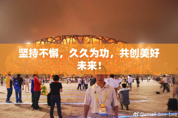 坚持不懈，久久为功，共创美好未来！