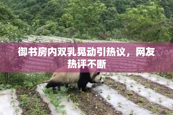 御书房内双乳晃动引热议，网友热评不断