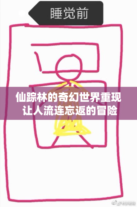仙踪林的奇幻世界重现 让人流连忘返的冒险之旅