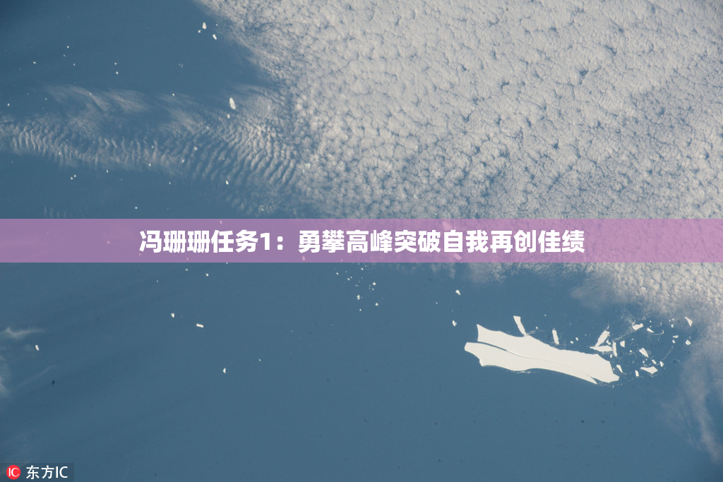 冯珊珊任务1：勇攀高峰突破自我再创佳绩