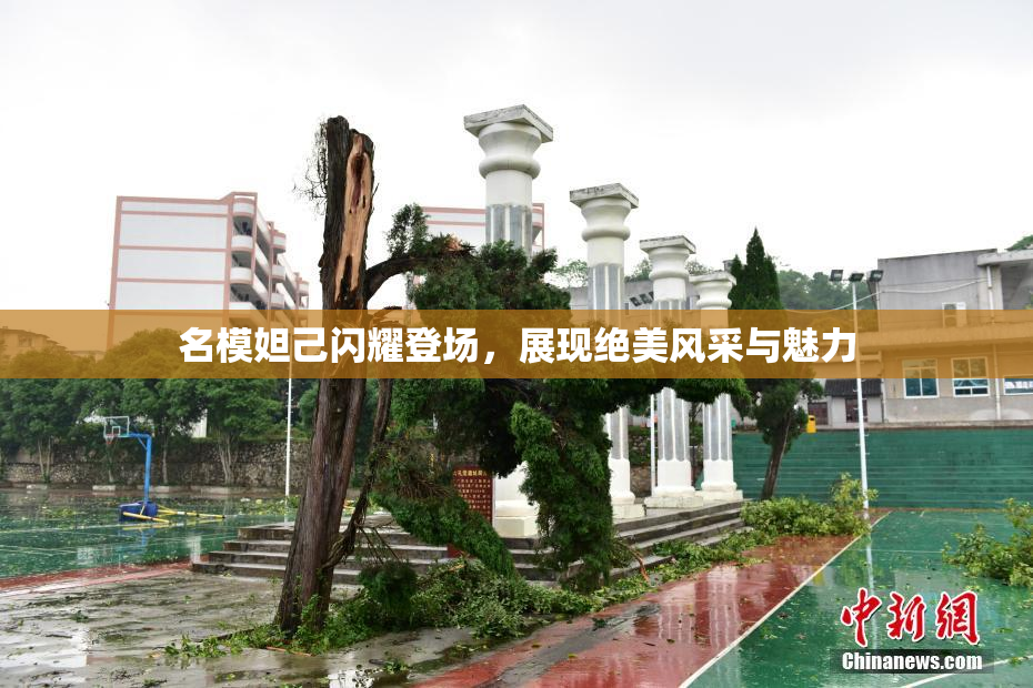 名模妲己闪耀登场，展现绝美风采与魅力