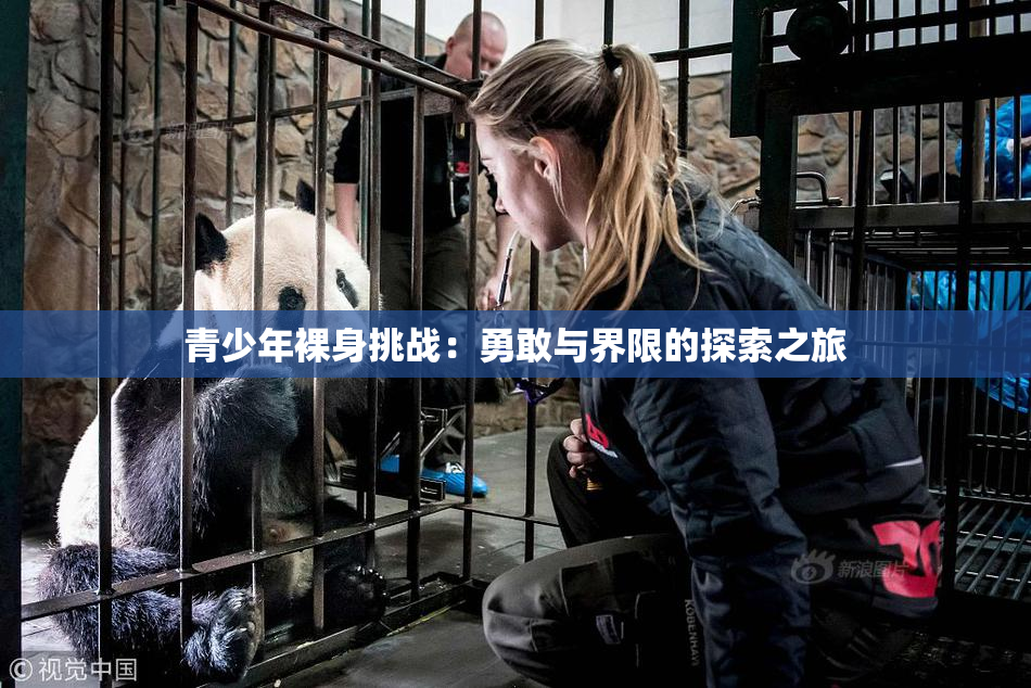 青少年裸身挑战：勇敢与界限的探索之旅