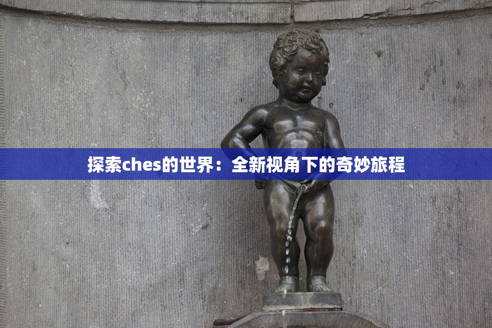 探索ches的世界：全新视角下的奇妙旅程