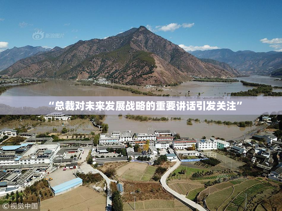 “总裁对未来发展战略的重要讲话引发关注”