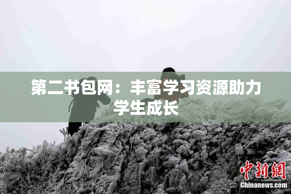 第二书包网：丰富学习资源助力学生成长