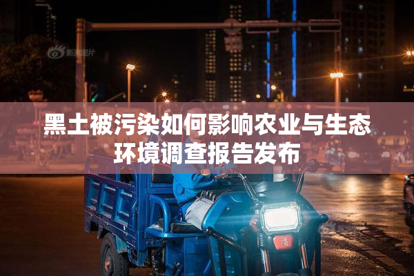 黑土被污染如何影响农业与生态环境调查报告发布