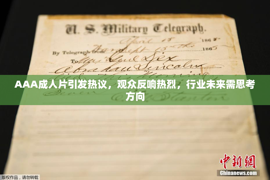 AAA成人片引发热议，观众反响热烈，行业未来需思考方向