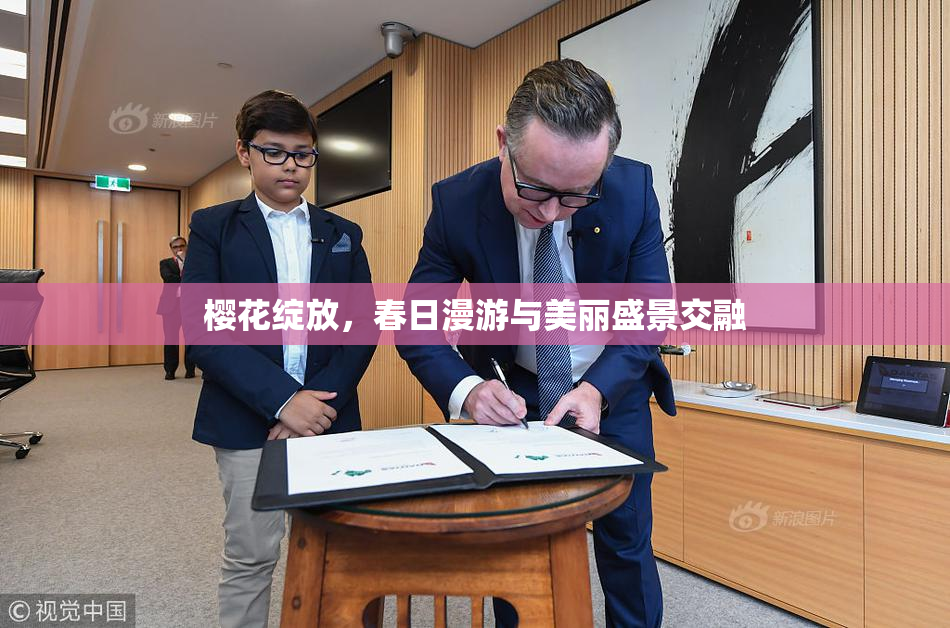 樱花绽放，春日漫游与美丽盛景交融