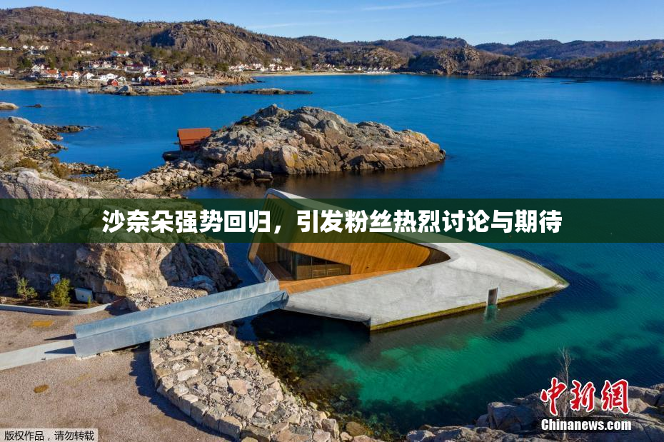 沙奈朵强势回归，引发粉丝热烈讨论与期待