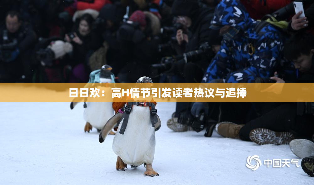 日日欢：高H情节引发读者热议与追捧