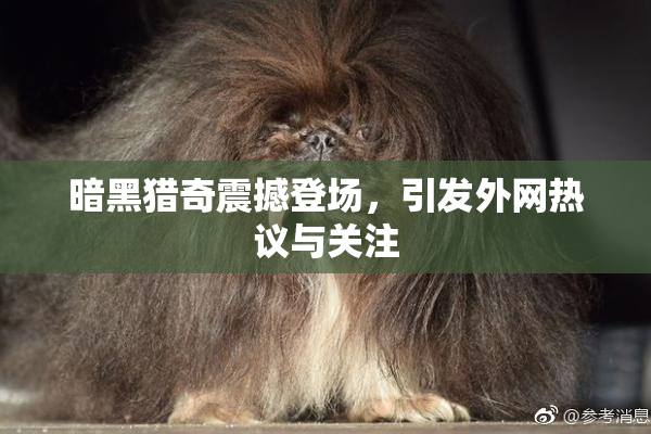 暗黑猎奇震撼登场，引发外网热议与关注