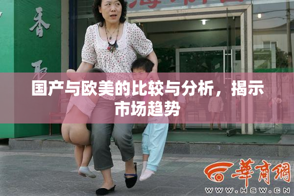 国产与欧美的比较与分析，揭示市场趋势