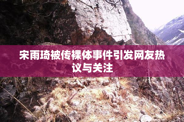 宋雨琦被传裸体事件引发网友热议与关注