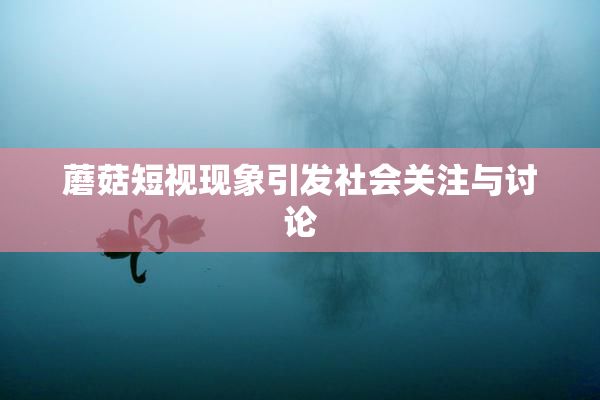 蘑菇短视现象引发社会关注与讨论