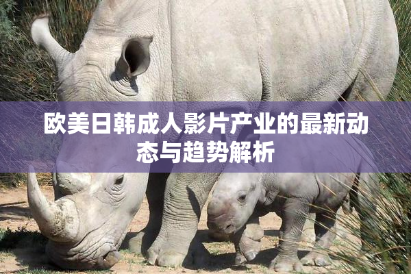 欧美日韩成人影片产业的最新动态与趋势解析