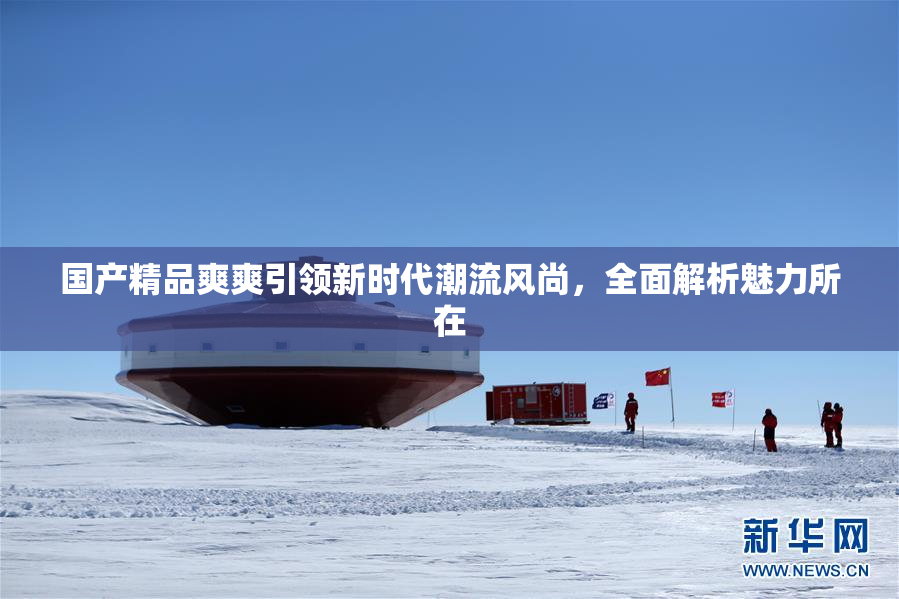 国产精品爽爽引领新时代潮流风尚，全面解析魅力所在