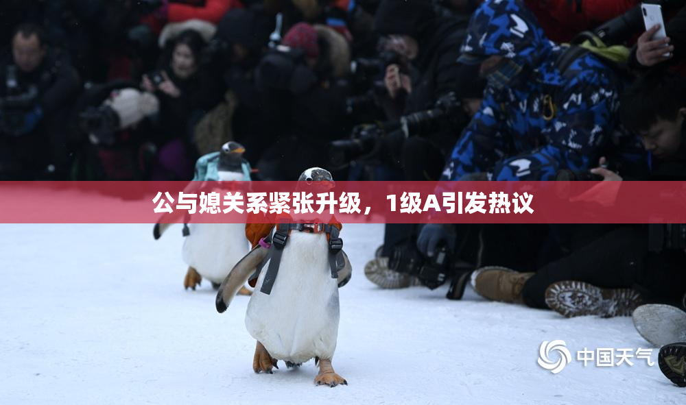 公与媳关系紧张升级，1级A引发热议
