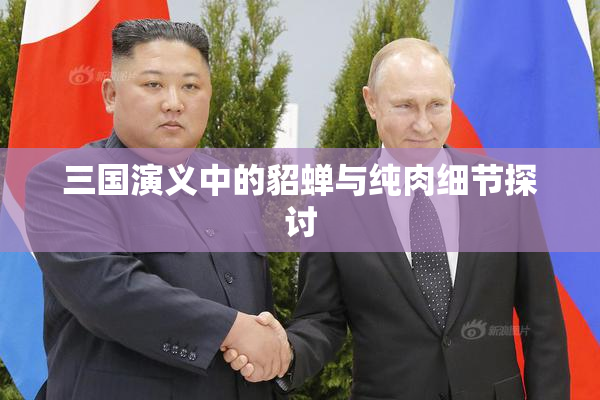 三国演义中的貂蝉与纯肉细节探讨
