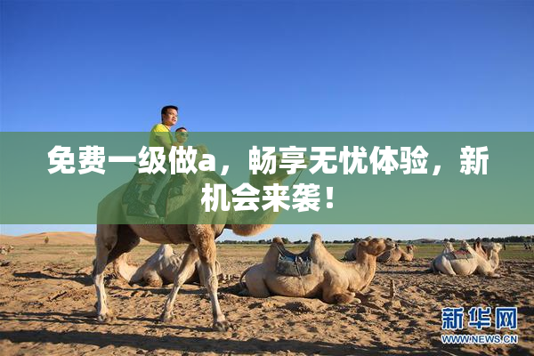 免费一级做a，畅享无忧体验，新机会来袭！