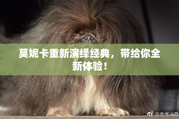 莫妮卡重新演绎经典，带给你全新体验！
