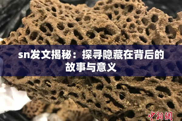 sn发文揭秘：探寻隐藏在背后的故事与意义