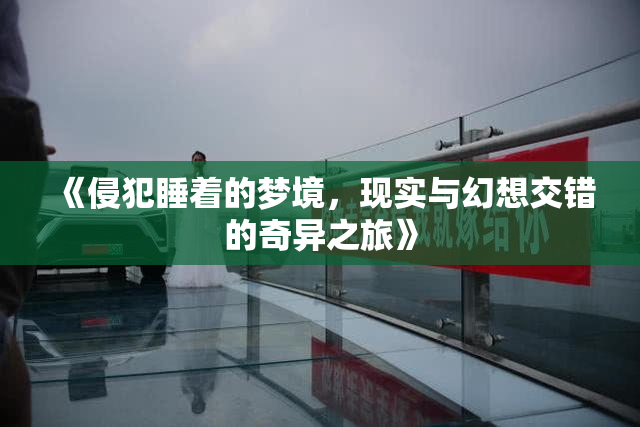 《侵犯睡着的梦境，现实与幻想交错的奇异之旅》