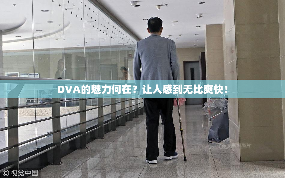 DVA的魅力何在？让人感到无比爽快！