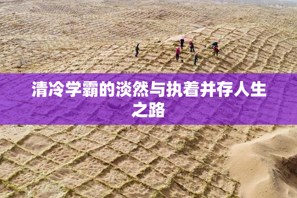 清冷学霸的淡然与执着并存人生之路