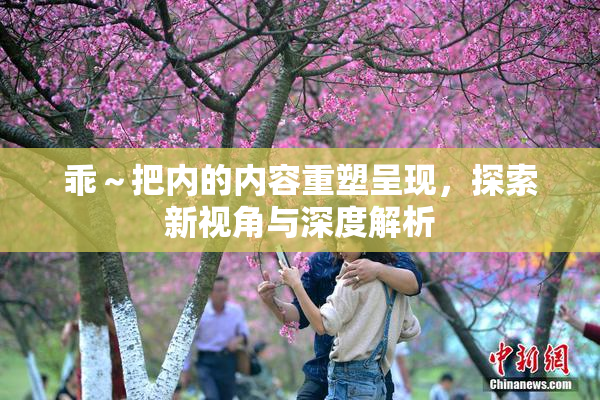 乖～把内的内容重塑呈现，探索新视角与深度解析
