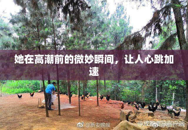 她在高潮前的微妙瞬间，让人心跳加速