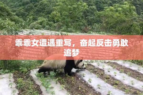 乖乖女遭遇重写，奋起反击勇敢追梦