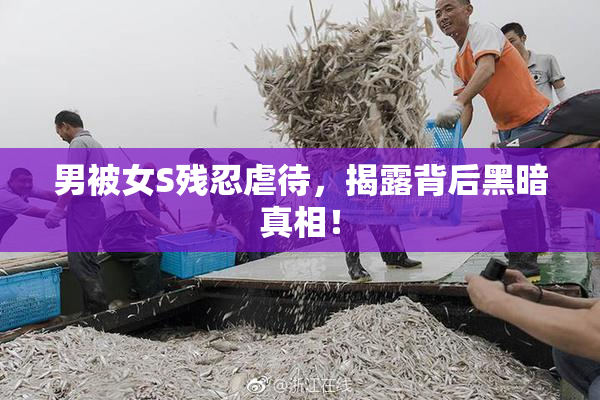 男被女S残忍虐待，揭露背后黑暗真相！