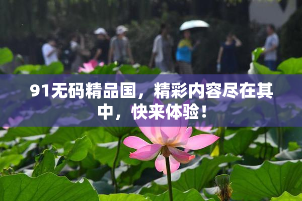 91无码精品国，精彩内容尽在其中，快来体验！