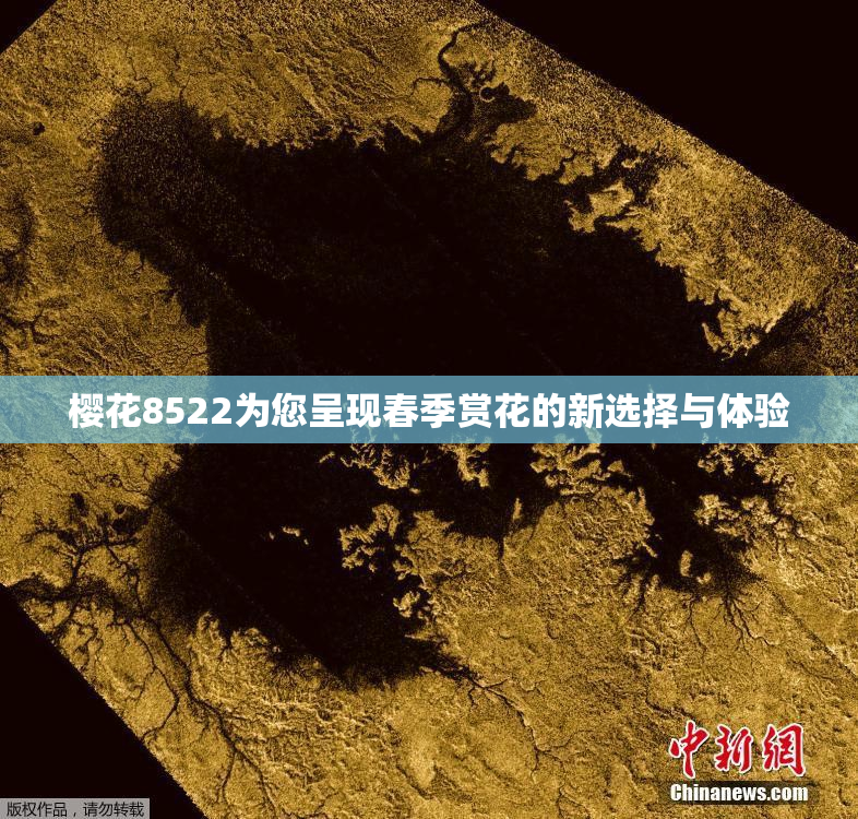 樱花8522为您呈现春季赏花的新选择与体验