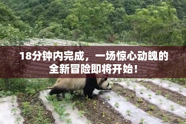 18分钟内完成，一场惊心动魄的全新冒险即将开始！