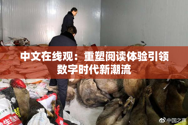 中文在线观：重塑阅读体验引领数字时代新潮流