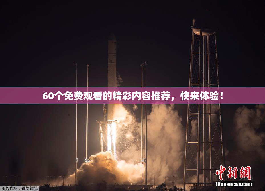 60个免费观看的精彩内容推荐，快来体验！